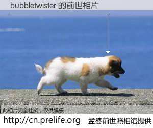 #孟婆前世照相馆# 【bubbletwister 的前世相片】我们都曾从奈何桥上走过，喝下三碗忘川之水烹煮的孟婆汤，忘却了前尘旧事。孟婆前世照相馆，保存着你前世的数码相片。bubbletwister 的前世相片，有图有真相：