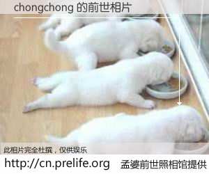 #孟婆前世照相馆# 【chongchong 的前世相片】我们都曾从奈何桥上走过，喝下三碗忘川之水烹煮的孟婆汤，忘却了前尘旧事。孟婆前世照相馆，保存着你前世的数码相片。chongchong 的前世相片，有图有真相：