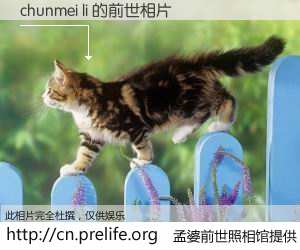 #孟婆前世照相馆# 【chunmei li 的前世相片】我们都曾从奈何桥上走过，喝下三碗忘川之水烹煮的孟婆汤，忘却了前尘旧事。孟婆前世照相馆，保存着你前世的数码相片。chunmei li 的前世相片，有图有真相：