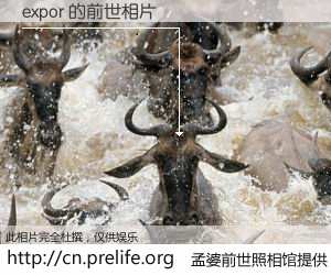#孟婆前世照相馆# 【expor 的前世相片】我们都曾从奈何桥上走过，喝下三碗忘川之水烹煮的孟婆汤，忘却了前尘旧事。孟婆前世照相馆，保存着你前世的数码相片。expor 的前世相片，有图有真相：