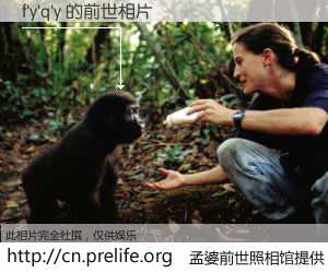 #孟婆前世照相馆# 【f'y'q'y 的前世相片】我们都曾从奈何桥上走过，喝下三碗忘川之水烹煮的孟婆汤，忘却了前尘旧事。孟婆前世照相馆，保存着你前世的数码相片。f'y'q'y 的前世相片，有图有真相：