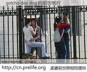 #孟婆前世照相馆# 【gotcha day dog 的前世相片】我们都曾从奈何桥上走过，喝下三碗忘川之水烹煮的孟婆汤，忘却了前尘旧事。孟婆前世照相馆，保存着你前世的数码相片。gotcha day dog 的前世相片，有图有真相：