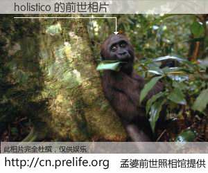 #孟婆前世照相馆# 【holistico 的前世相片】我们都曾从奈何桥上走过，喝下三碗忘川之水烹煮的孟婆汤，忘却了前尘旧事。孟婆前世照相馆，保存着你前世的数码相片。holistico 的前世相片，有图有真相：