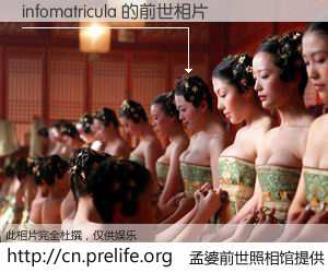 #孟婆前世照相馆# 【infomatricula 的前世相片】我们都曾从奈何桥上走过，喝下三碗忘川之水烹煮的孟婆汤，忘却了前尘旧事。孟婆前世照相馆，保存着你前世的数码相片。infomatricula 的前世相片，有图有真相：