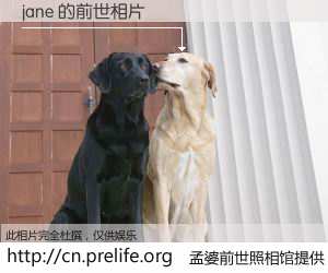 #孟婆前世照相馆# 【jane 的前世相片】我们都曾从奈何桥上走过，喝下三碗忘川之水烹煮的孟婆汤，忘却了前尘旧事。孟婆前世照相馆，保存着你前世的数码相片。jane 的前世相片，有图有真相：