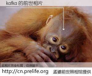 #孟婆前世照相馆# 【kafka 的前世相片】我们都曾从奈何桥上走过，喝下三碗忘川之水烹煮的孟婆汤，忘却了前尘旧事。孟婆前世照相馆，保存着你前世的数码相片。kafka 的前世相片，有图有真相：