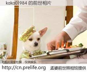#孟婆前世照相馆# 【kaka01984 的前世相片】我们都曾从奈何桥上走过，喝下三碗忘川之水烹煮的孟婆汤，忘却了前尘旧事。孟婆前世照相馆，保存着你前世的数码相片。kaka01984 的前世相片，有图有真相：