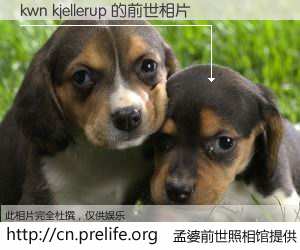 #孟婆前世照相馆# 【kwn kjellerup 的前世相片】我们都曾从奈何桥上走过，喝下三碗忘川之水烹煮的孟婆汤，忘却了前尘旧事。孟婆前世照相馆，保存着你前世的数码相片。kwn kjellerup 的前世相片，有图有真相：
