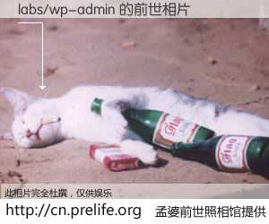 #孟婆前世照相馆# 【labs/wp-admin 的前世相片】我们都曾从奈何桥上走过，喝下三碗忘川之水烹煮的孟婆汤，忘却了前尘旧事。孟婆前世照相馆，保存着你前世的数码相片。labs/wp-admin 的前世相片，有图有真相：