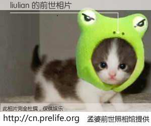 #孟婆前世照相馆# 【liulian 的前世相片】我们都曾从奈何桥上走过，喝下三碗忘川之水烹煮的孟婆汤，忘却了前尘旧事。孟婆前世照相馆，保存着你前世的数码相片。liulian 的前世相片，有图有真相：