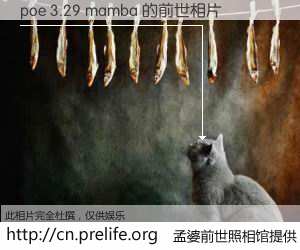 #孟婆前世照相馆# 【poe 3.29 mamba 的前世相片】我们都曾从奈何桥上走过，喝下三碗忘川之水烹煮的孟婆汤，忘却了前尘旧事。孟婆前世照相馆，保存着你前世的数码相片。poe 3.29 mamba 的前世相片，有图有真相：