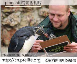 #孟婆前世照相馆# 【pronuhb 的前世相片】我们都曾从奈何桥上走过，喝下三碗忘川之水烹煮的孟婆汤，忘却了前尘旧事。孟婆前世照相馆，保存着你前世的数码相片。pronuhb 的前世相片，有图有真相：