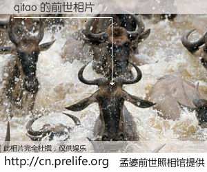 #孟婆前世照相馆# 【qitao 的前世相片】我们都曾从奈何桥上走过，喝下三碗忘川之水烹煮的孟婆汤，忘却了前尘旧事。孟婆前世照相馆，保存着你前世的数码相片。qitao 的前世相片，有图有真相：