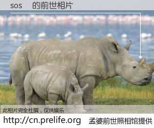 #孟婆前世照相馆# 【sosˮ 的前世相片】我们都曾从奈何桥上走过，喝下三碗忘川之水烹煮的孟婆汤，忘却了前尘旧事。孟婆前世照相馆，保存着你前世的数码相片。sosˮ 的前世相片，有图有真相：