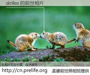 #孟婆前世照相馆# 【skrillex 的前世相片】我们都曾从奈何桥上走过，喝下三碗忘川之水烹煮的孟婆汤，忘却了前尘旧事。孟婆前世照相馆，保存着你前世的数码相片。skrillex 的前世相片，有图有真相：