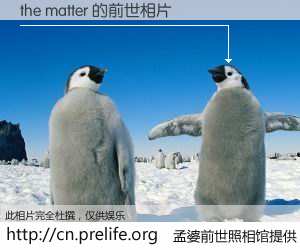 #孟婆前世照相馆# 【the matter 的前世相片】我们都曾从奈何桥上走过，喝下三碗忘川之水烹煮的孟婆汤，忘却了前尘旧事。孟婆前世照相馆，保存着你前世的数码相片。the matter 的前世相片，有图有真相：