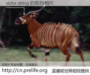 #孟婆前世照相馆# 【victor string 的前世相片】我们都曾从奈何桥上走过，喝下三碗忘川之水烹煮的孟婆汤，忘却了前尘旧事。孟婆前世照相馆，保存着你前世的数码相片。victor string 的前世相片，有图有真相：