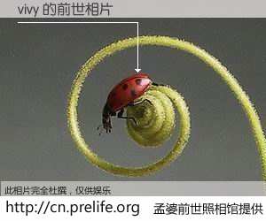 #孟婆前世照相馆# 【vivy 的前世相片】我们都曾从奈何桥上走过，喝下三碗忘川之水烹煮的孟婆汤，忘却了前尘旧事。孟婆前世照相馆，保存着你前世的数码相片。vivy 的前世相片，有图有真相：