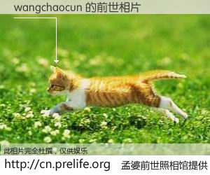 #孟婆前世照相馆# 【wangchaocun 的前世相片】我们都曾从奈何桥上走过，喝下三碗忘川之水烹煮的孟婆汤，忘却了前尘旧事。孟婆前世照相馆，保存着你前世的数码相片。wangchaocun 的前世相片，有图有真相：