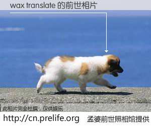 #孟婆前世照相馆# 【wax translate 的前世相片】我们都曾从奈何桥上走过，喝下三碗忘川之水烹煮的孟婆汤，忘却了前尘旧事。孟婆前世照相馆，保存着你前世的数码相片。wax translate 的前世相片，有图有真相：