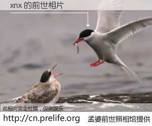 #孟婆前世照相馆# 【xnx 的前世相片】我们都曾从奈何桥上走过，喝下三碗忘川之水烹煮的孟婆汤，忘却了前尘旧事。孟婆前世照相馆，保存着你前世的数码相片。xnx 的前世相片，有图有真相：