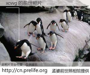 #孟婆前世照相馆# 【xcvvg 的前世相片】我们都曾从奈何桥上走过，喝下三碗忘川之水烹煮的孟婆汤，忘却了前尘旧事。孟婆前世照相馆，保存着你前世的数码相片。xcvvg 的前世相片，有图有真相：