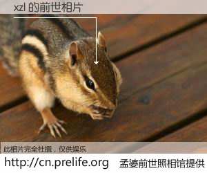 #孟婆前世照相馆# 【xzl 的前世相片】我们都曾从奈何桥上走过，喝下三碗忘川之水烹煮的孟婆汤，忘却了前尘旧事。孟婆前世照相馆，保存着你前世的数码相片。xzl 的前世相片，有图有真相：