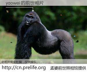 #孟婆前世照相馆# 【yaowei 的前世相片】我们都曾从奈何桥上走过，喝下三碗忘川之水烹煮的孟婆汤，忘却了前尘旧事。孟婆前世照相馆，保存着你前世的数码相片。yaowei 的前世相片，有图有真相：