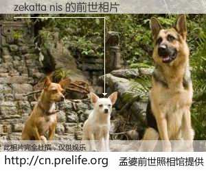 #孟婆前世照相馆# 【zekatta nis 的前世相片】我们都曾从奈何桥上走过，喝下三碗忘川之水烹煮的孟婆汤，忘却了前尘旧事。孟婆前世照相馆，保存着你前世的数码相片。zekatta nis 的前世相片，有图有真相：
