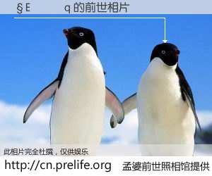 #孟婆前世照相馆# 【�E���q 的前世相片】我们都曾从奈何桥上走过，喝下三碗忘川之水烹煮的孟婆汤，忘却了前尘旧事。孟婆前世照相馆，保存着你前世的数码相片。�E���q 的前世相片，有图有真相：
