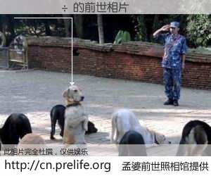 #孟婆前世照相馆# 【����÷ 的前世相片】我们都曾从奈何桥上走过，喝下三碗忘川之水烹煮的孟婆汤，忘却了前尘旧事。孟婆前世照相馆，保存着你前世的数码相片。����÷ 的前世相片，有图有真相：