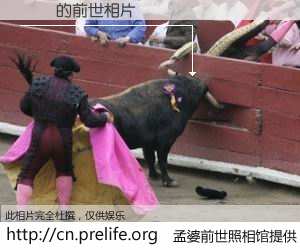 #孟婆前世照相馆# 【˼˼ 的前世相片】我们都曾从奈何桥上走过，喝下三碗忘川之水烹煮的孟婆汤，忘却了前尘旧事。孟婆前世照相馆，保存着你前世的数码相片。˼˼ 的前世相片，有图有真相：