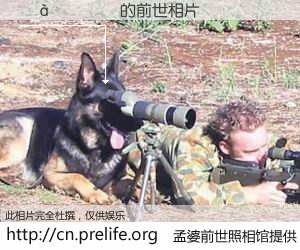 #孟婆前世照相馆# 【������ 的前世相片】我们都曾从奈何桥上走过，喝下三碗忘川之水烹煮的孟婆汤，忘却了前尘旧事。孟婆前世照相馆，保存着你前世的数码相片。������ 的前世相片，有图有真相：