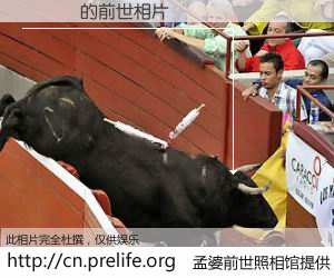 #孟婆前世照相馆# 【ڲ 的前世相片】我们都曾从奈何桥上走过，喝下三碗忘川之水烹煮的孟婆汤，忘却了前尘旧事。孟婆前世照相馆，保存着你前世的数码相片。ڲ 的前世相片，有图有真相：