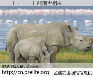 #孟婆前世照相馆# 【���� 的前世相片】我们都曾从奈何桥上走过，喝下三碗忘川之水烹煮的孟婆汤，忘却了前尘旧事。孟婆前世照相馆，保存着你前世的数码相片。���� 的前世相片，有图有真相：