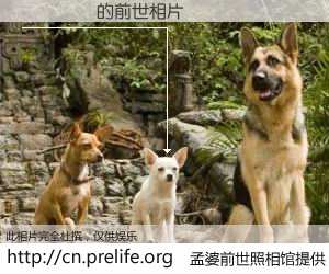 #孟婆前世照相馆# 【סיני 的前世相片】我们都曾从奈何桥上走过，喝下三碗忘川之水烹煮的孟婆汤，忘却了前尘旧事。孟婆前世照相馆，保存着你前世的数码相片。סיני 的前世相片，有图有真相：