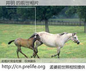#孟婆前世照相馆# 【井明 的前世相片】我们都曾从奈何桥上走过，喝下三碗忘川之水烹煮的孟婆汤，忘却了前尘旧事。孟婆前世照相馆，保存着你前世的数码相片。井明 的前世相片，有图有真相：