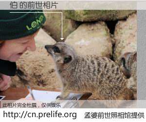 #孟婆前世照相馆# 【伯 的前世相片】我们都曾从奈何桥上走过，喝下三碗忘川之水烹煮的孟婆汤，忘却了前尘旧事。孟婆前世照相馆，保存着你前世的数码相片。伯 的前世相片，有图有真相：