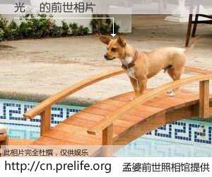 #孟婆前世照相馆# 【光復 的前世相片】我们都曾从奈何桥上走过，喝下三碗忘川之水烹煮的孟婆汤，忘却了前尘旧事。孟婆前世照相馆，保存着你前世的数码相片。光復 的前世相片，有图有真相：