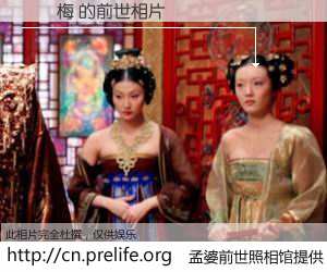 #孟婆前世照相馆# 【劉曉梅 的前世相片】我们都曾从奈何桥上走过，喝下三碗忘川之水烹煮的孟婆汤，忘却了前尘旧事。孟婆前世照相馆，保存着你前世的数码相片。劉曉梅 的前世相片，有图有真相：