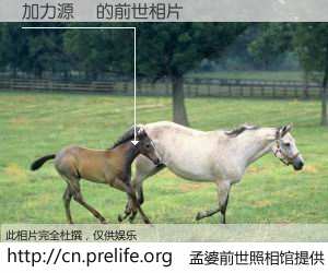 #孟婆前世照相馆# 【加力源頭 的前世相片】我们都曾从奈何桥上走过，喝下三碗忘川之水烹煮的孟婆汤，忘却了前尘旧事。孟婆前世照相馆，保存着你前世的数码相片。加力源頭 的前世相片，有图有真相：