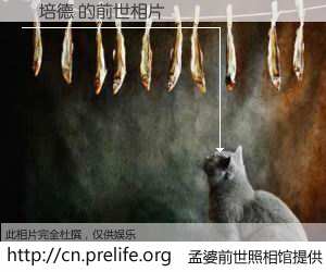 #孟婆前世照相馆# 【呂培德 的前世相片】我们都曾从奈何桥上走过，喝下三碗忘川之水烹煮的孟婆汤，忘却了前尘旧事。孟婆前世照相馆，保存着你前世的数码相片。呂培德 的前世相片，有图有真相：