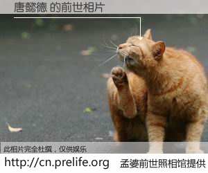 #孟婆前世照相馆# 【唐懿德 的前世相片】我们都曾从奈何桥上走过，喝下三碗忘川之水烹煮的孟婆汤，忘却了前尘旧事。孟婆前世照相馆，保存着你前世的数码相片。唐懿德 的前世相片，有图有真相：