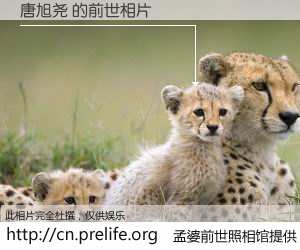 #孟婆前世照相馆# 【唐旭尧 的前世相片】我们都曾从奈何桥上走过，喝下三碗忘川之水烹煮的孟婆汤，忘却了前尘旧事。孟婆前世照相馆，保存着你前世的数码相片。唐旭尧 的前世相片，有图有真相：