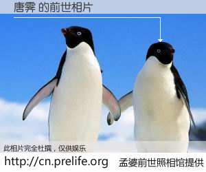 #孟婆前世照相馆# 【唐霁 的前世相片】我们都曾从奈何桥上走过，喝下三碗忘川之水烹煮的孟婆汤，忘却了前尘旧事。孟婆前世照相馆，保存着你前世的数码相片。唐霁 的前世相片，有图有真相：