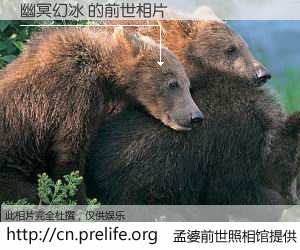 #孟婆前世照相馆# 【幽冥幻冰 的前世相片】我们都曾从奈何桥上走过，喝下三碗忘川之水烹煮的孟婆汤，忘却了前尘旧事。孟婆前世照相馆，保存着你前世的数码相片。幽冥幻冰 的前世相片，有图有真相：