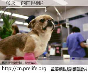 #孟婆前世照相馆# 【张永樂 的前世相片】我们都曾从奈何桥上走过，喝下三碗忘川之水烹煮的孟婆汤，忘却了前尘旧事。孟婆前世照相馆，保存着你前世的数码相片。张永樂 的前世相片，有图有真相：