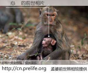 #孟婆前世照相馆# 【張心誠 的前世相片】我们都曾从奈何桥上走过，喝下三碗忘川之水烹煮的孟婆汤，忘却了前尘旧事。孟婆前世照相馆，保存着你前世的数码相片。張心誠 的前世相片，有图有真相：