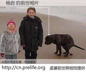 #孟婆前世照相馆# 【杨启 的前世相片】我们都曾从奈何桥上走过，喝下三碗忘川之水烹煮的孟婆汤，忘却了前尘旧事。孟婆前世照相馆，保存着你前世的数码相片。杨启 的前世相片，有图有真相：