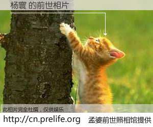 #孟婆前世照相馆# 【杨寰 的前世相片】我们都曾从奈何桥上走过，喝下三碗忘川之水烹煮的孟婆汤，忘却了前尘旧事。孟婆前世照相馆，保存着你前世的数码相片。杨寰 的前世相片，有图有真相：